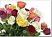 Bouquet Of Roses Peel and Stick Wall Mural