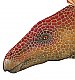 Stegosaurus Peel & Stick Applique 192005