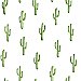 Peron Green Cactus Wallpaper