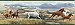 Swift Yellow Open Range Horses Portrait Border