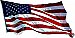 USA Flag Mural