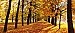 Autumn Park Panoramic One-piece Peel & Stick Canvas Wall Mural