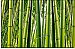 Bamboo Mural C866 by Environmental Graphics
