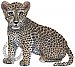 Leopard Cub Peel & Stick Applique 120515