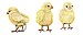 Chicks Peel & Stick Applique 30807
