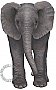 Baby Elephant Peel & Stick Applique 51105