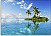 Paradise Island  One-piece Peel & Stick Canvas Wall Mural