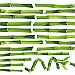 BAMBOO PEEL & STICK WALL DECALS