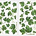 EVERGREEN IVY PEEL & STICK WALL DECALS