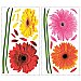 SMALL GERBER DAISIES PEEL & STICK WALL DECALS