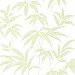 Sasa Green Bamboo Leaf Wallpaper