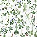 Stormare Green Botanical Wallpaper