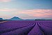 Provence France Wall Mural