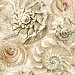 Opulent Shell Wallpaper